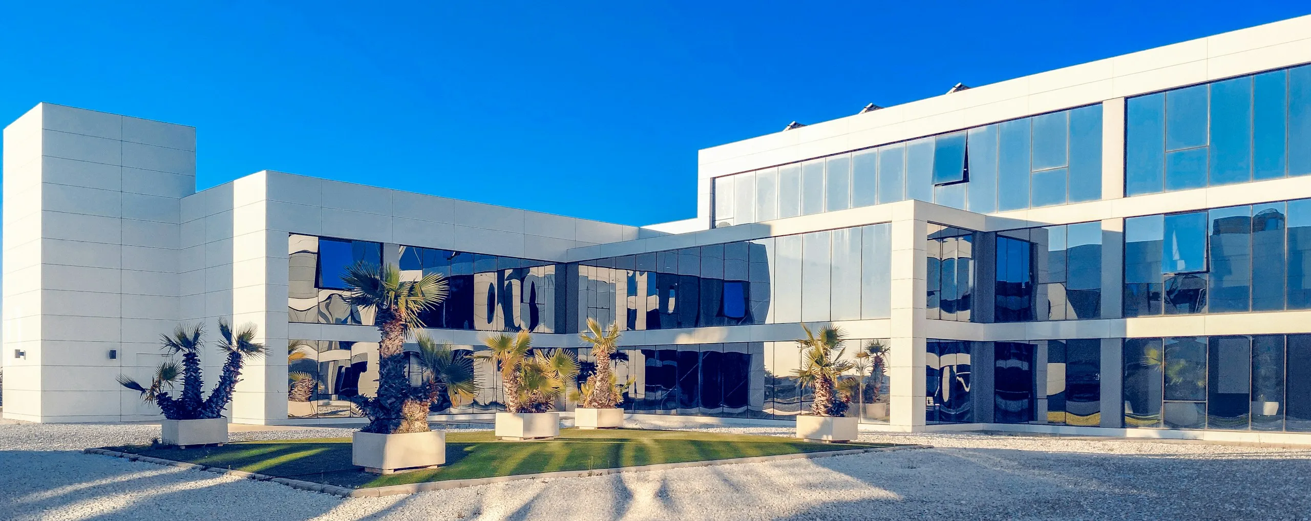 Moderno edificio de empresa con fachada de cristal y palmeras al sol